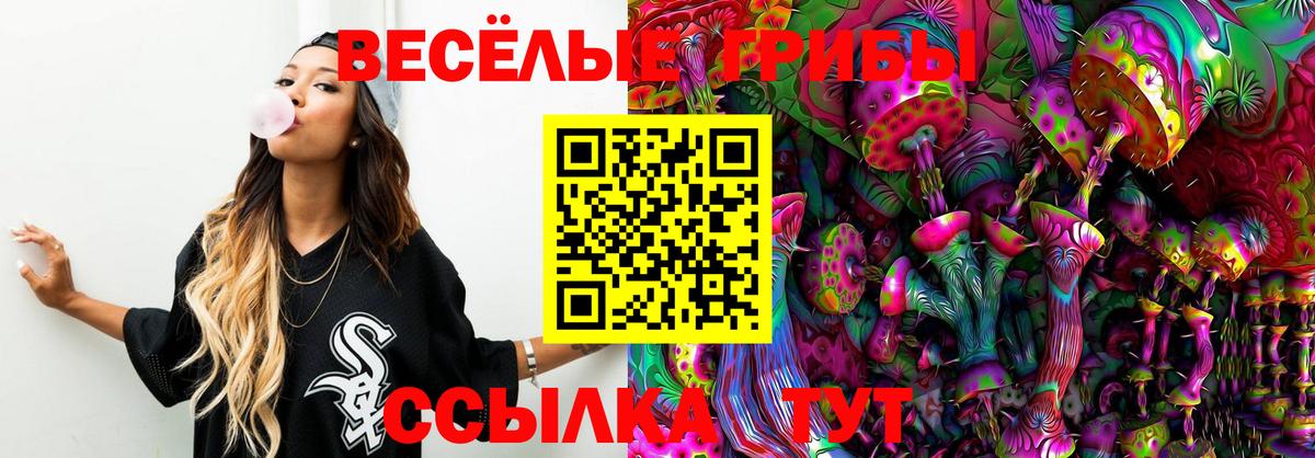 магазин    Вход с VPN  Чита  Псилоцибиновые грибы мухоморы 