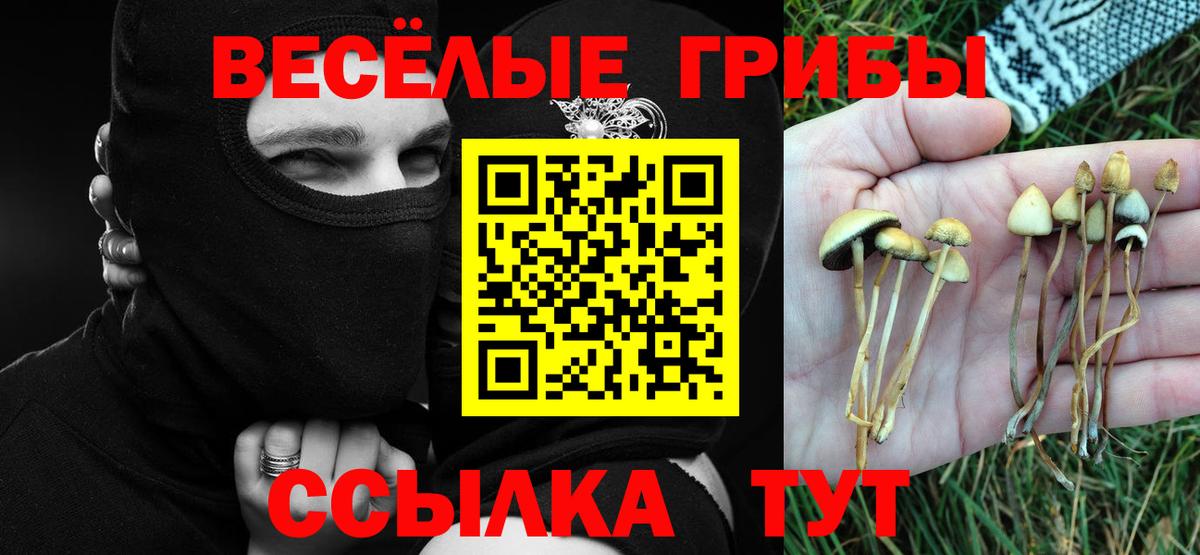 Галлюциногенные грибы мухоморы Чита